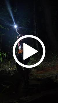 BIB:  <button type="button" onclick="openModal(27570153)" class="btn btn-primary btn-sm float-right" data-toggle="modal" data-target=".modal-high-quality">
                <i class="fa fa-download"></i> Download
                </button>